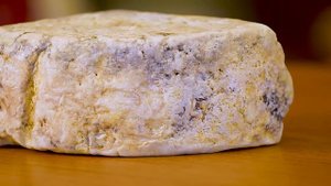 ЧТО ЖИВЕТ ВНУТРИ СЫРА? ЭКСТРЕМАЛЬНЫЕ ВИДЫ СЫРА С ИСПОЛЬЗОВАНИЕМ БАКТЕРИЙ ИЗ ПОДМЫШЕК И С ПАЛЬЦЕВ НО