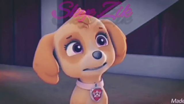 ?Гонщик и Скай ?(Девочка-Кокетка)?~Для канала Зухрашка Гамидова~??Chase & Skye? смотреть онлайн