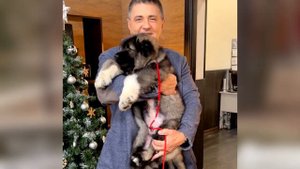 Сколько зарабатывает доктор Мясников? На что тратит свои миллионы