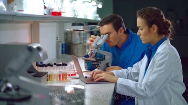 Sakinleştirici ve Dinlendirici ? Papatya Çayının Bilinmeyen Faydaları! ? смотреть онлайн