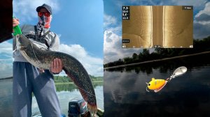 Щуки на KEITECH, СОМ на тейл спинер. Рыбалка в жару. Ловим с лодки, ищем новые места. 18+.