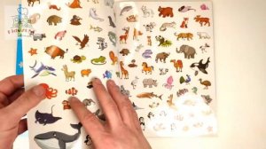 Наклейки многоразовые, Познавательные.