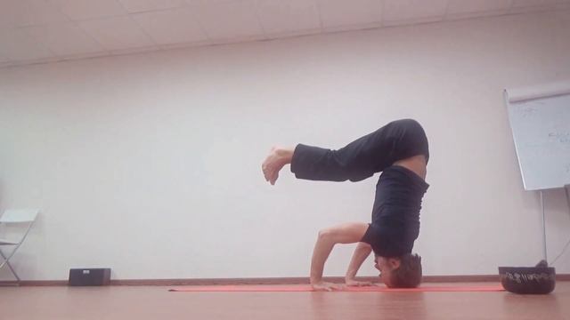 дви пада каундиниасана, вариант исполнения связки, ширшасана - каундиниасана смотреть онлайн