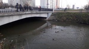 Прогулка по Санкт-Петербургу, парк имени Есенина..