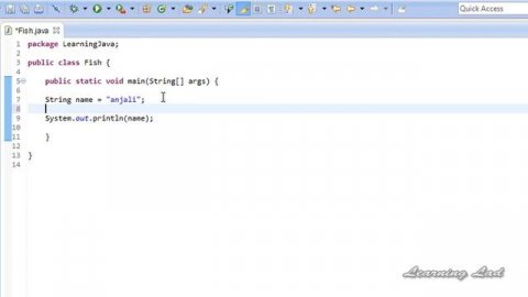 Strings in Java Programming - Video Tutorial
