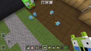 энгри бердс в майнкрафт бой свиний vs птичек (~_^)