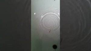 блесна планер 50