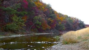 Теплая осень