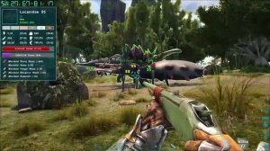 Приручение Lucanidae (Большой жук) в ARK Обзор, приручение и способности