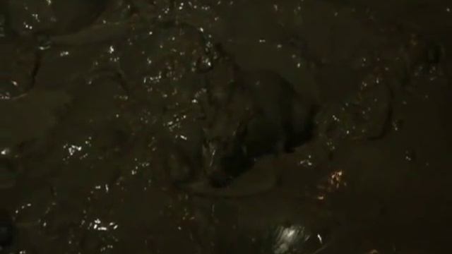 1  Рейтинг Баженова . Могло быть хуже ЕЩЁ  Жесткий наезд .