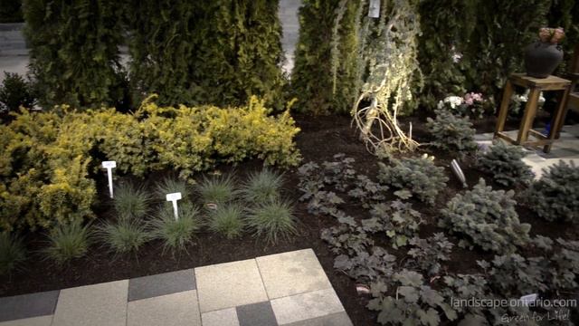 Tour of Jacob's Gardenscape Canada Blooms 2020 Garden "The Green Metal Garden"