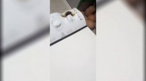 Купил донора для своей вертикальной стиральной машине INDESIT WITL 86