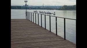 Прогулки перед отъездом в долгое путешествие