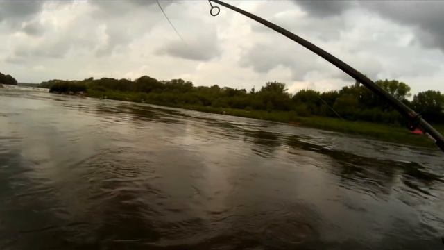 голавлемания 1440x1080 смотреть онлайн