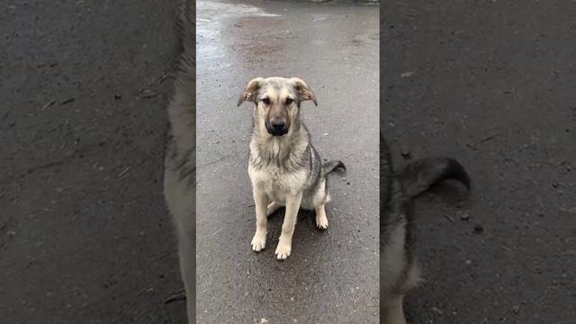 Волгоград. Базу, где они жили много лет, продали.