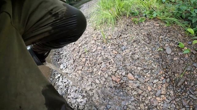 С медведями жить по медвежьи тужить. смотреть онлайн