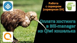 Как оплатить хостинг firstVDS в BILL manager из Qiwi кошелька... и другие бонусы и скидки хостинга.