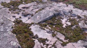 Каналу История Пи✋