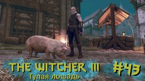 Тупая лошадь | The Witcher 3 / Ведьмак 3 #043 [Прохождение] | Play GH