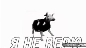 ПОЛЬСКАЯ КОРОВА НА РУССКОМ!