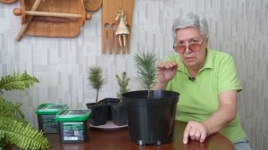 Пролонгированные удобрения для хвойных и гортензий Bona Forte рассказывает Тетя Таня "Голова садова