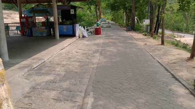 Зоопарк Кхао Кхео Тайланд смотреть онлайн