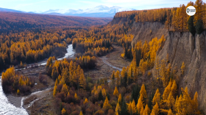 Наша Сибирь 4К:  Долина реки Кубадру