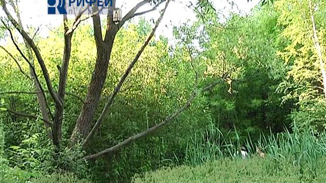 Сад Соловьев смотреть онлайн