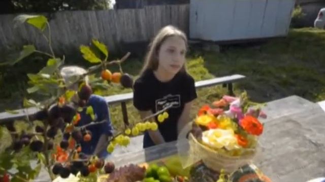 Виноград Изабелла, зилга