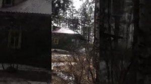 Клиника неврозов