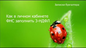 Как заполнить 3-НДФЛ в личном кабинете на сайте ФНС