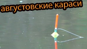 Рыбалка на карася !