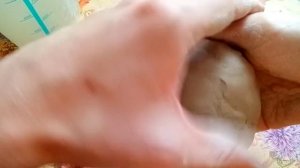 Лепка черепахи из глины