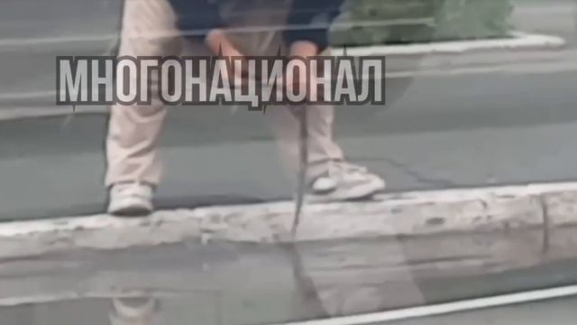 Вот она где, антисанитария-то
