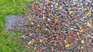 Бордюры из резиновой крошки