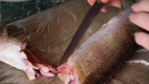 Как вкусно приготовить рыбу судак