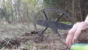 №8: Коп с яйцами. Сигнум МФТ 7272М