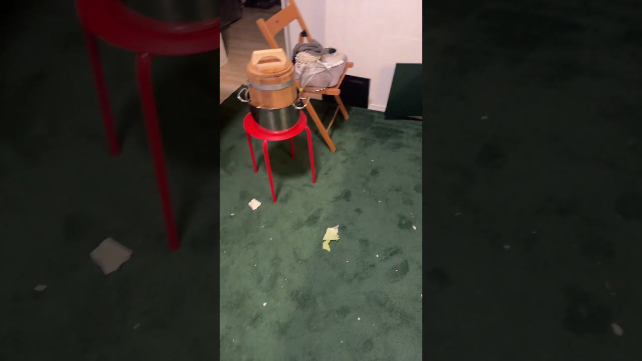 Вызывать клининговую службу ? Или снять теперь, как я убираюсь ? :D #еда #уборка #кулинария #пп