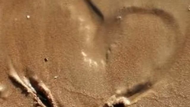 My Montage 1/31/09 смотреть онлайн