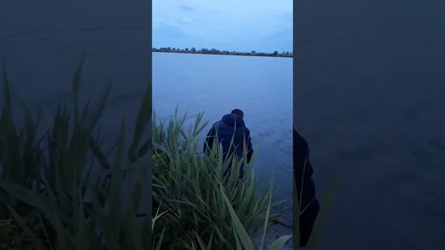 Сом Новочеркасск смотреть онлайн