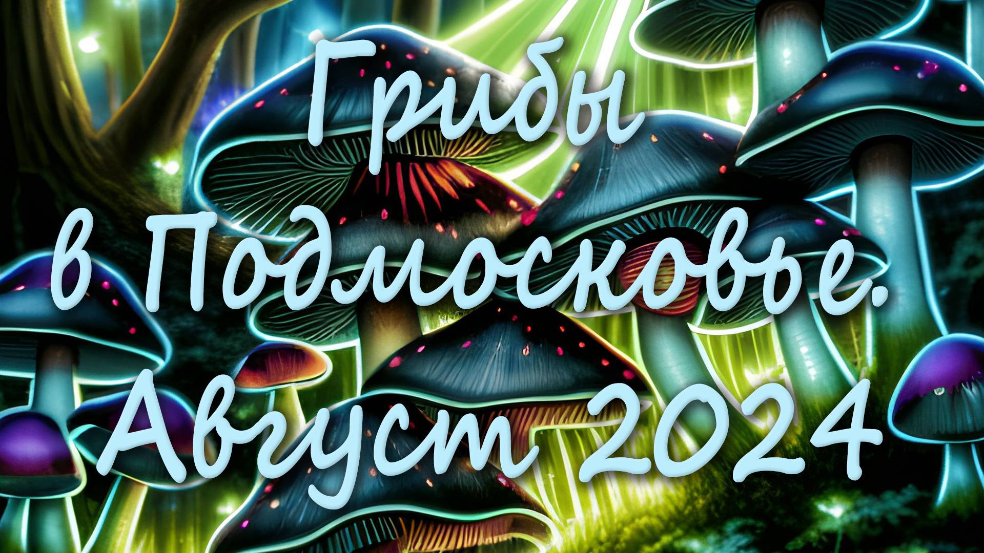 Поход по грибы 17 августа 2024 года смотреть онлайн