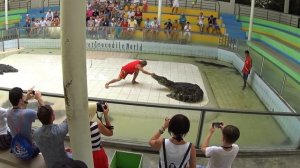 18+ Крокодил откусил руку тайцу! 2017 The crocodile bit off his hand! shock!