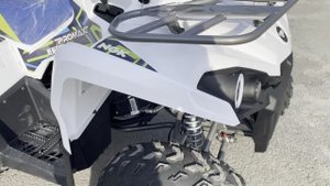 Купил Квадроцикл PROMAX RENEGADE 300 люкс, немного своего мнения (отзыва)