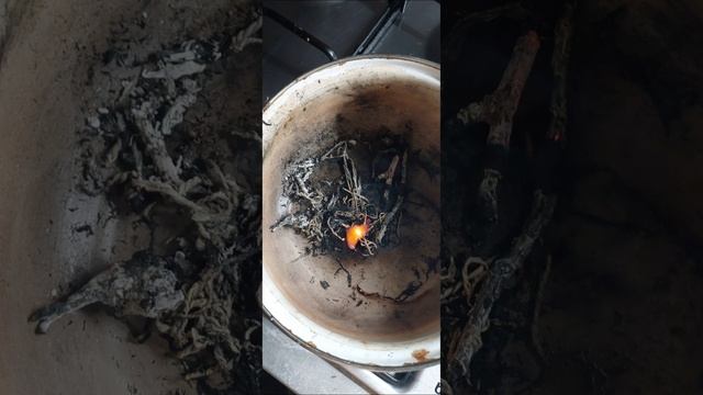 чистка| от паучьей порчи|?  Авторский.  Во благо мои милые.