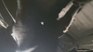 Как гниёт lancer 9