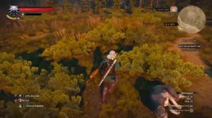 Easy  The Witcher 3: Wild Hunt Gameplay Tutorial 74