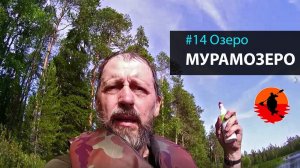 #14 Озеро Мурамозеро | Лоухи - Энгозеро 2017 | Приключения на байдарке