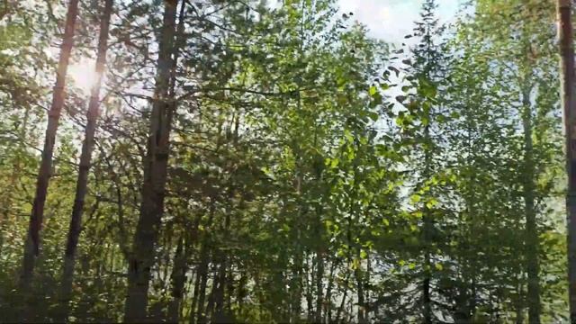 Калевала Сигаярви 2021 Карелия смотреть онлайн