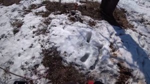 НОВЫЙ АВТОМОБИЛЬ ДЛЯ КОПА МЕТАЛЛА!