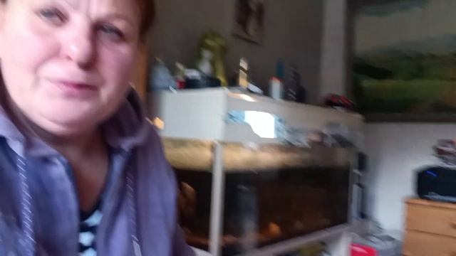 Мой завтрак, пахлава просто сказка!!! смотреть онлайн